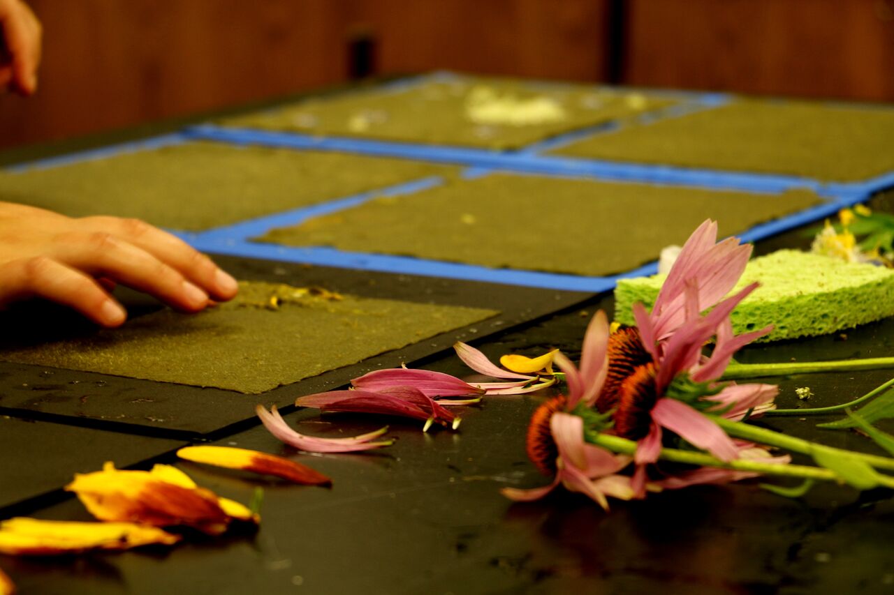 Papermaking with Plants Nature Up North
